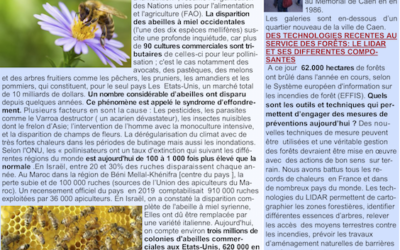 IPF Basse Normandie Newsletter 16